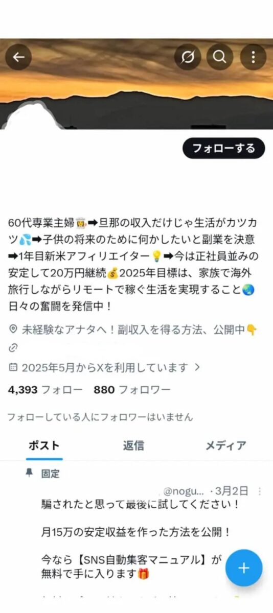 SNS副業詐欺アカウントの例